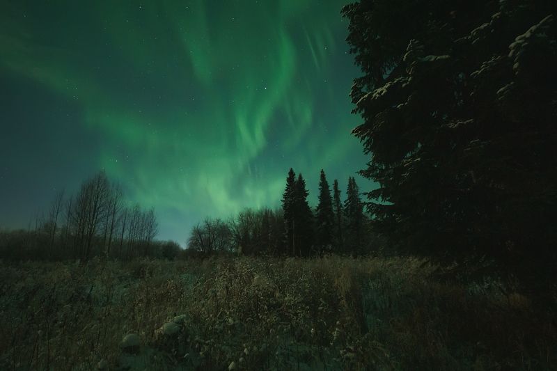 печора, северное сияние, коми Ночной северphoto preview