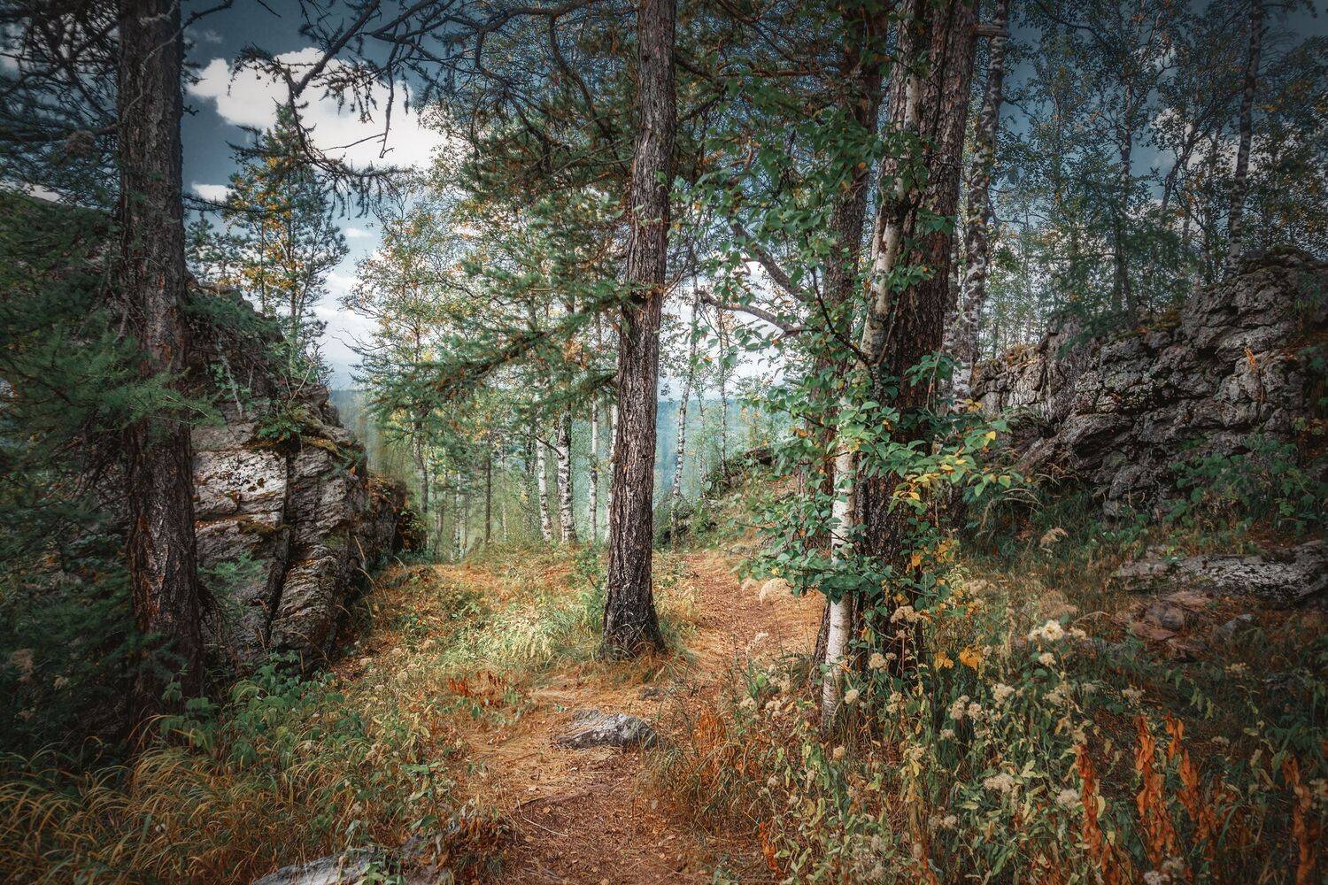 Автор: Ivan Sazykin , Ivan Sazykin