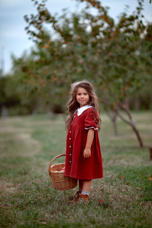 лето, дети, яблони, детский портрет, семейная фотография, яблоневый сад, урожай, ребенок В садахphoto preview