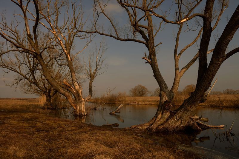 Мартphoto preview