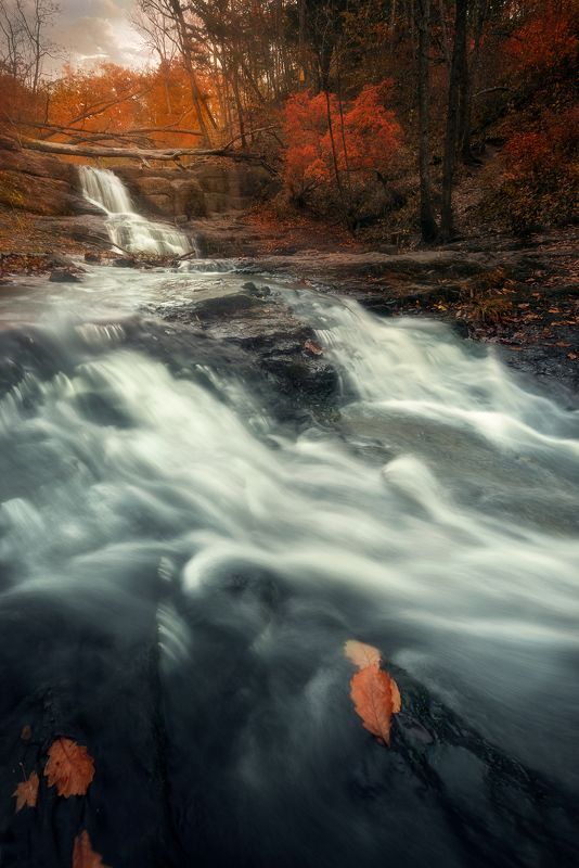 осень ***photo preview