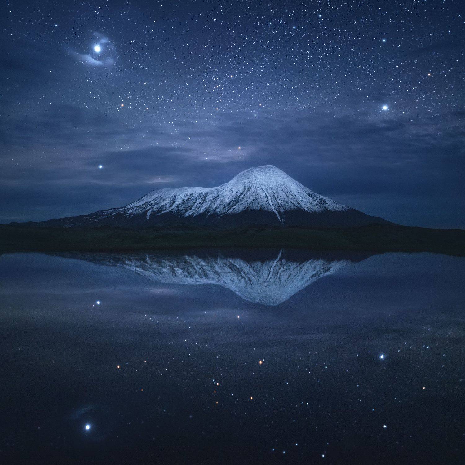 , Политова Анна