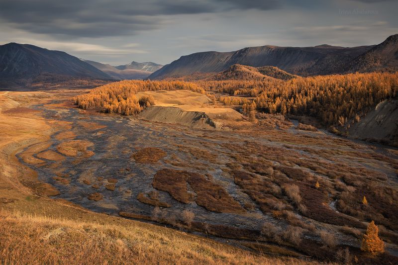 Разлив реки Джазаторphoto preview