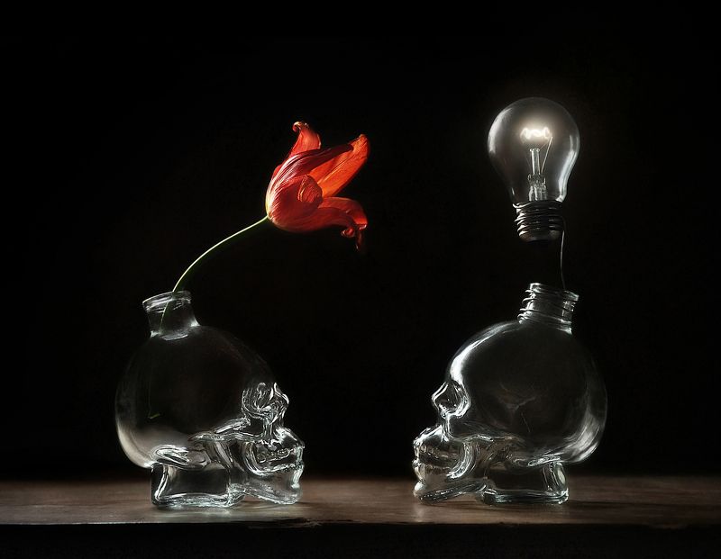 Правильный контактphoto preview