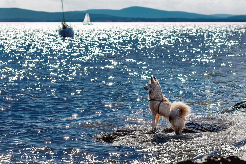 кандалакша  фото превью