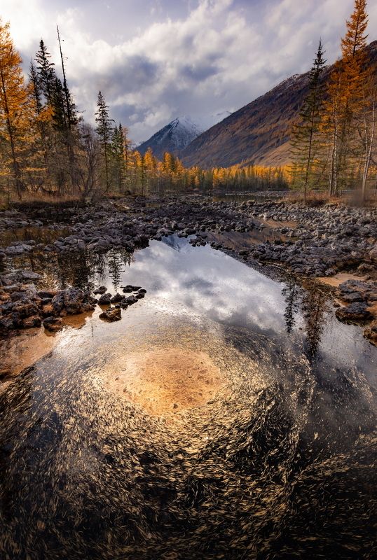 Галактика Шарзаphoto preview