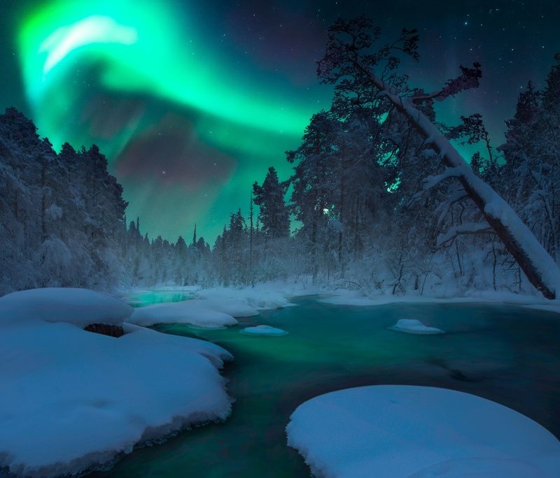 кольский полуостров,кольский,зима,winter,snow,kola peninsula,forest,aurora borealis In the nightphoto preview