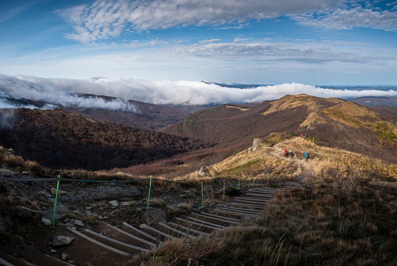 Polonina,Poland,Bukowe Berdo,landscape Bukowe Berdophoto preview
