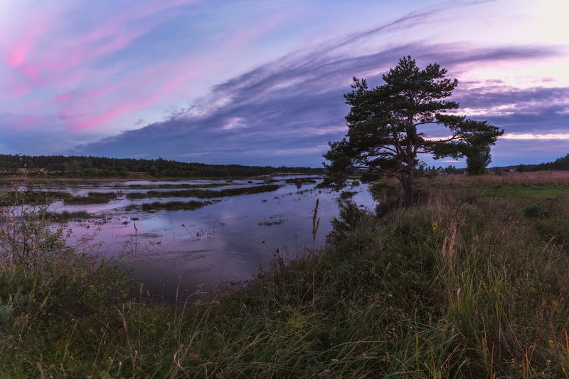 выбуты, закат, великая, псков Выбутыphoto preview