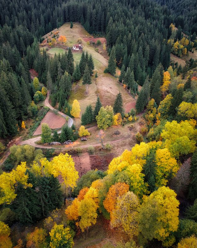 Floors of autumnphoto preview