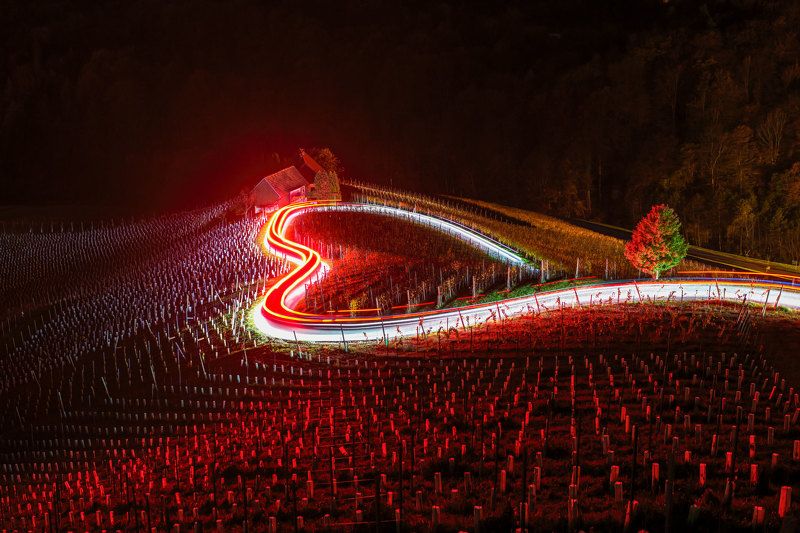 Heart Between Vineyard, Slovenia..photo preview