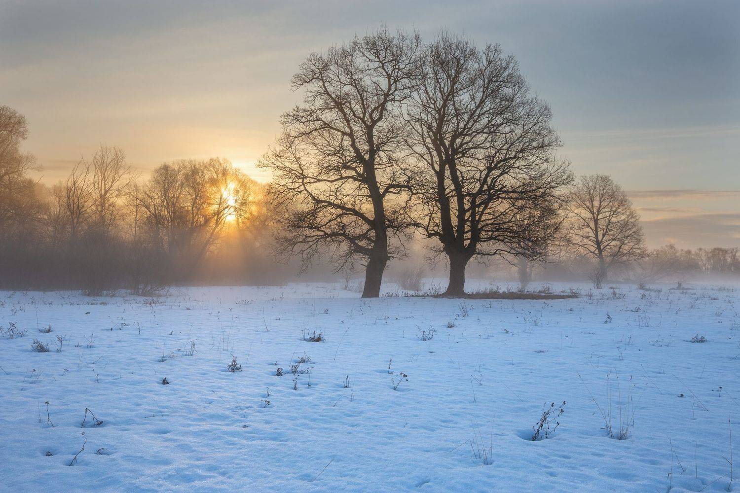 2021, калужская область, весна, снег, туман, солнце, деревья, облака, Денис Лукьяненко