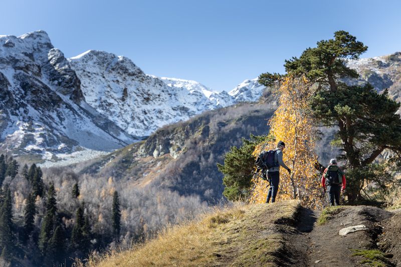 Дорогу осилит и идущийphoto preview