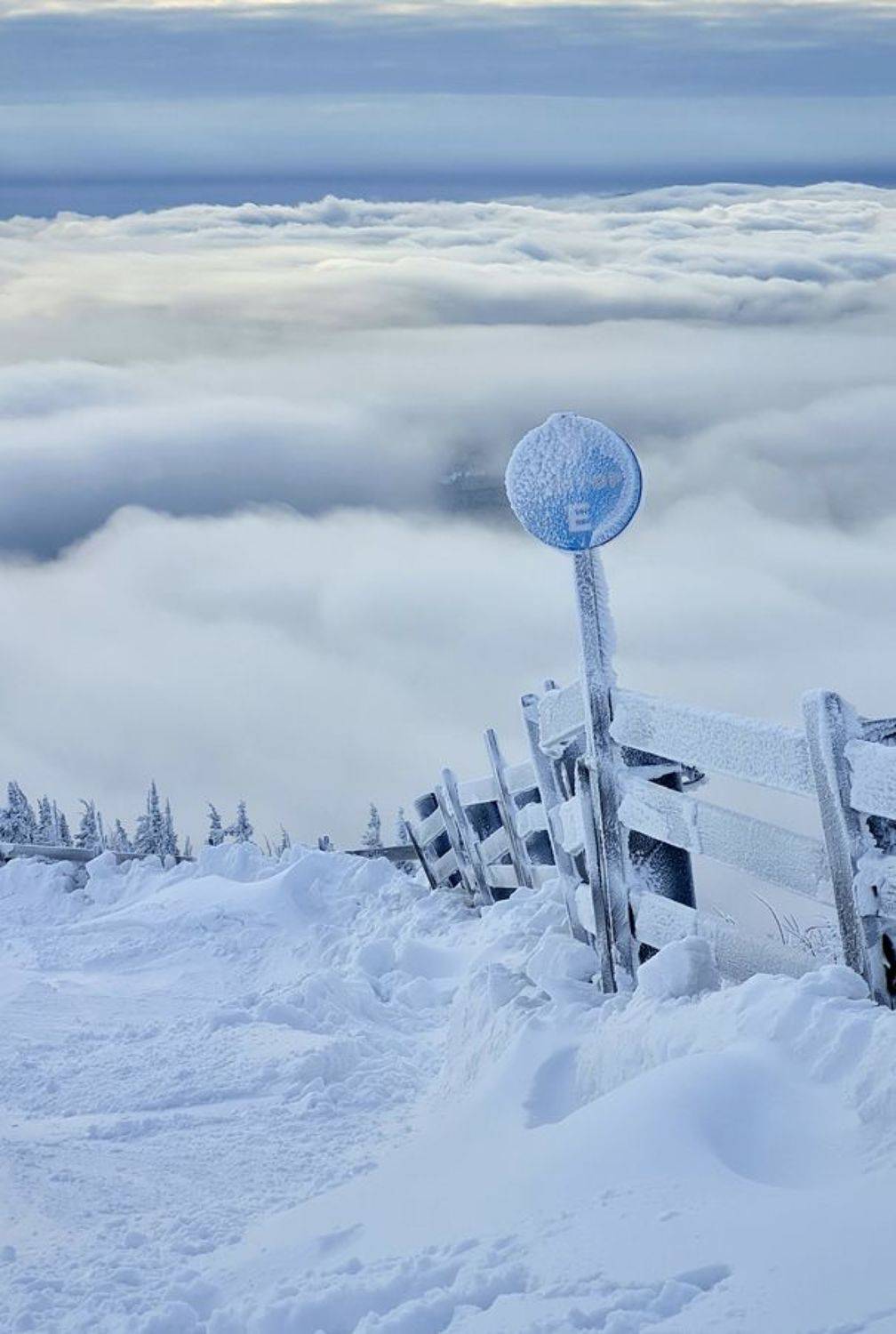 , Александр Кузовков