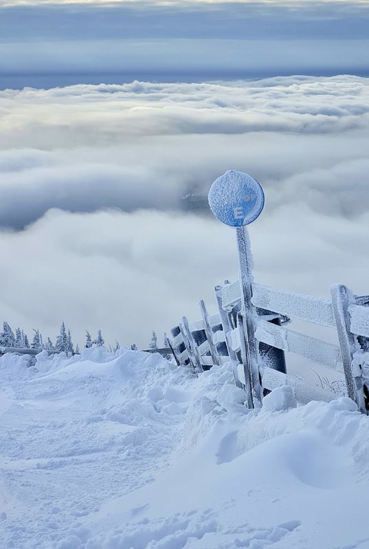 Сектор Еphoto preview