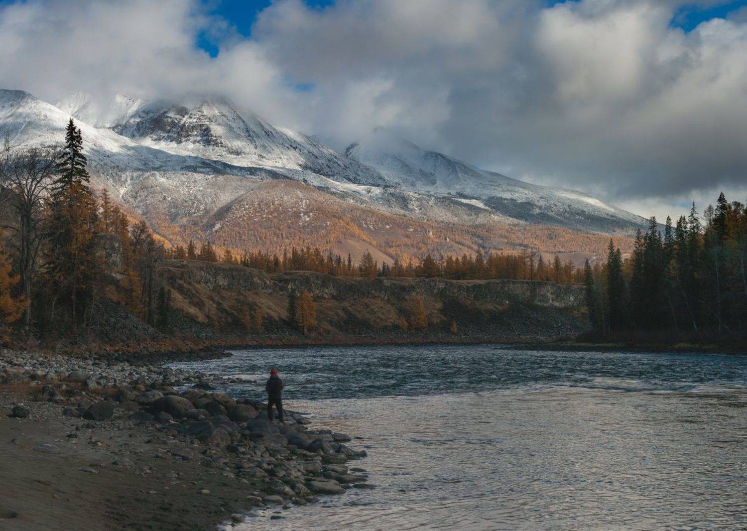 , Трофимов Алексей