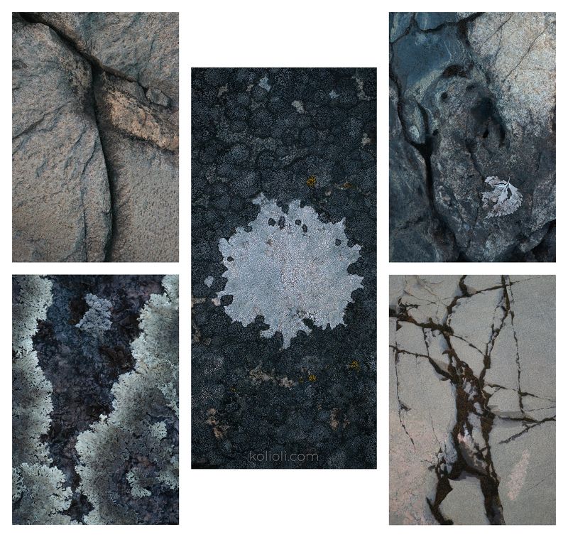 фактуры, текстуры, камень, лишайники, скалы, линии, арт-фото, природа художник, ладожские шхеры, ладожские острова, скалы ладоги, карелия, север Текстуры Ладожских острововphoto preview