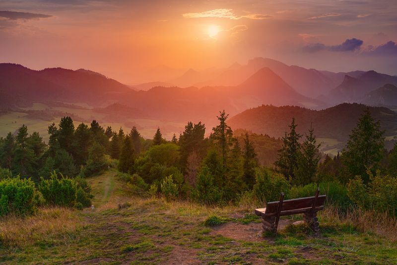 carpathians, pieniny, poland, polska, wysoki wierch, trzy korony, landscape, sunset, sun, sunlight, nikon, mountains, mountainscape, trees, plants, summer, beautiful, travel Borderless Lightphoto preview