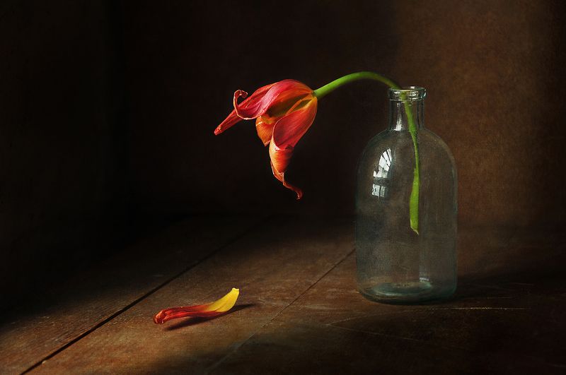 Уходящееphoto preview