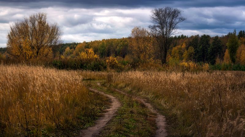 Просто - ОСЕНЬ...photo preview