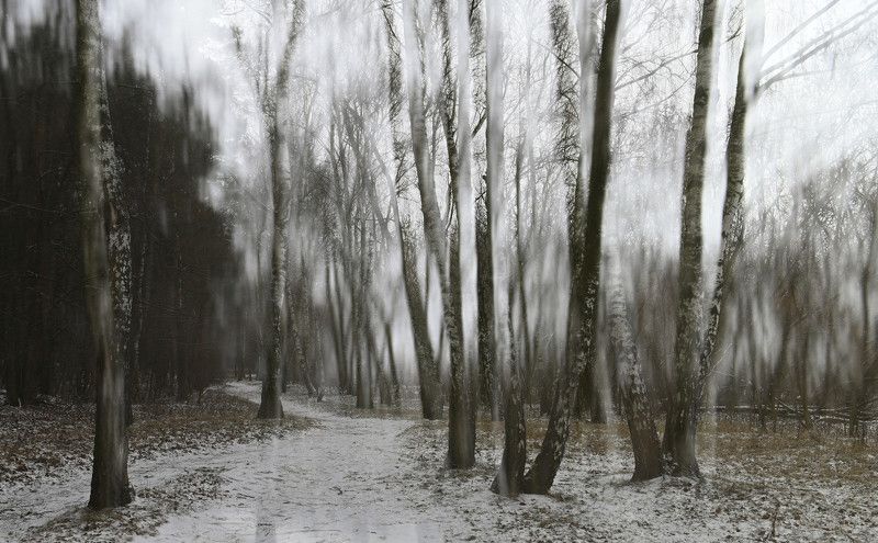 Березняк фото превью