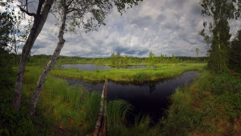 Болотоphoto preview