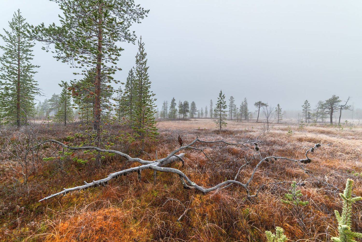 ***. Автор: Роман Горячий север, кольский, заполярье,, Роман Горячий