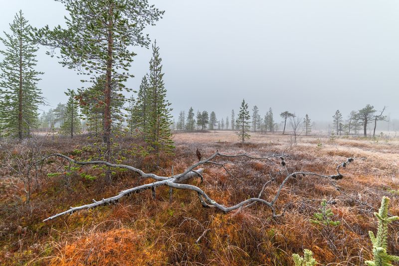 север, кольский, заполярье, ***photo preview