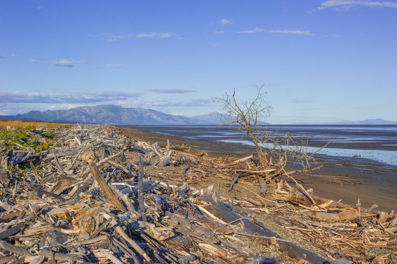 Большой отливphoto preview