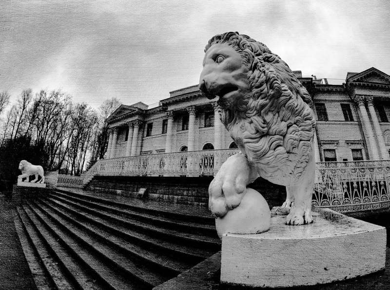 Елагинские стражиphoto preview