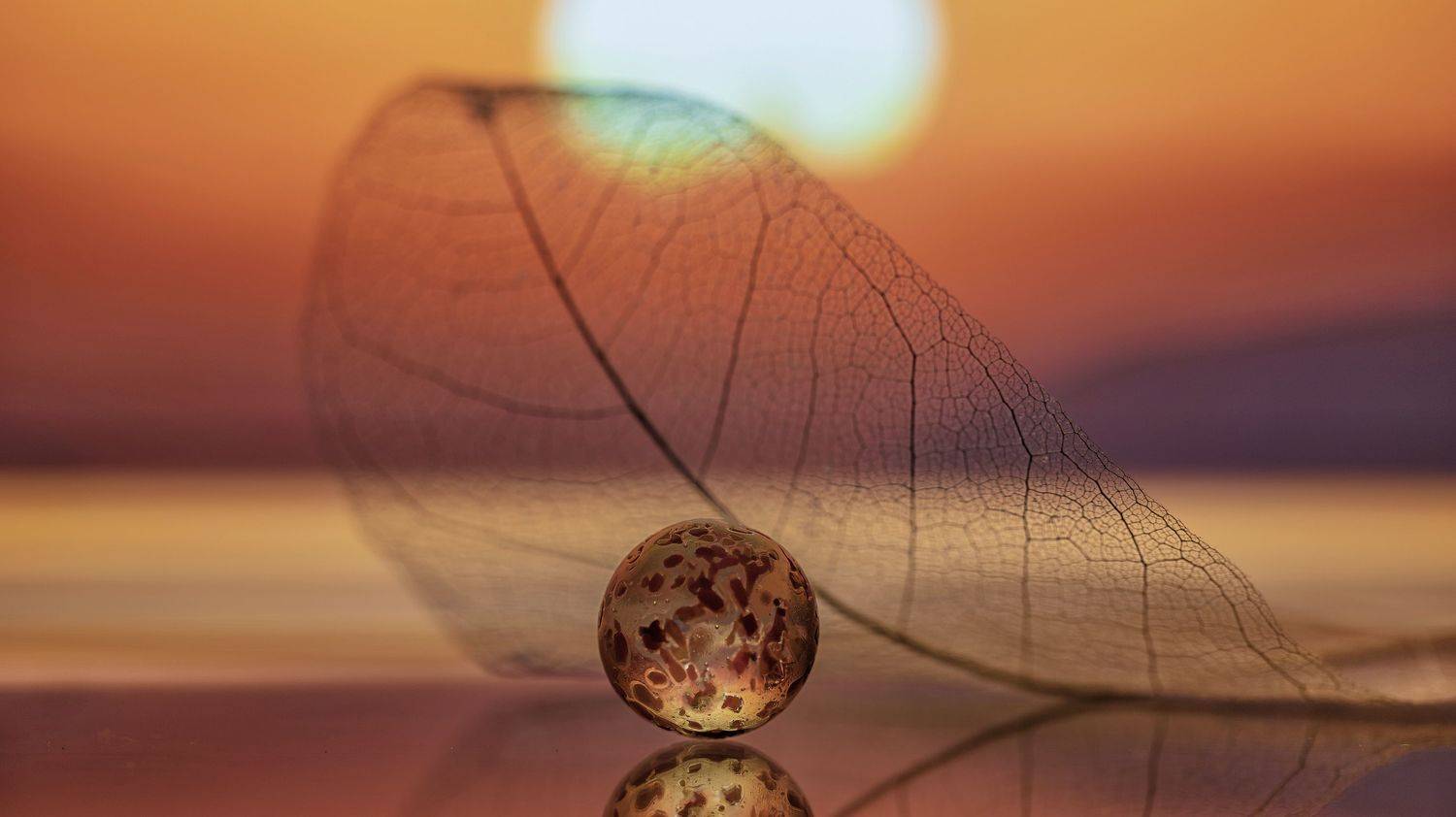 , Мария Обидина