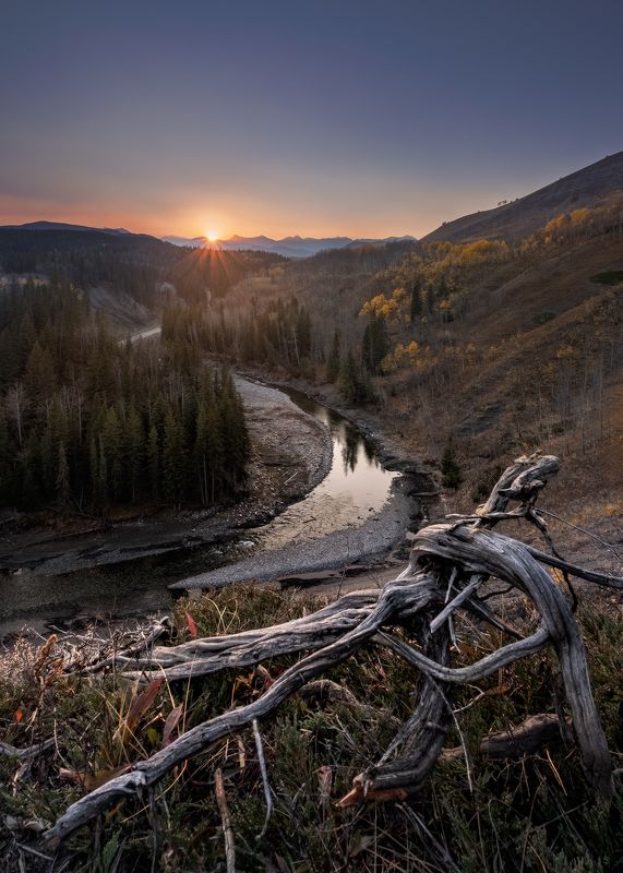 Вечерние изгибыphoto preview