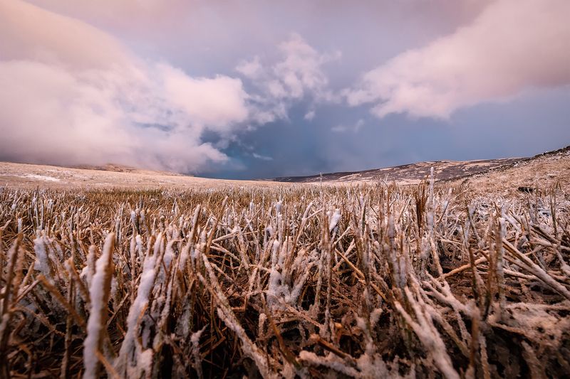 Розовое мороженоеphoto preview