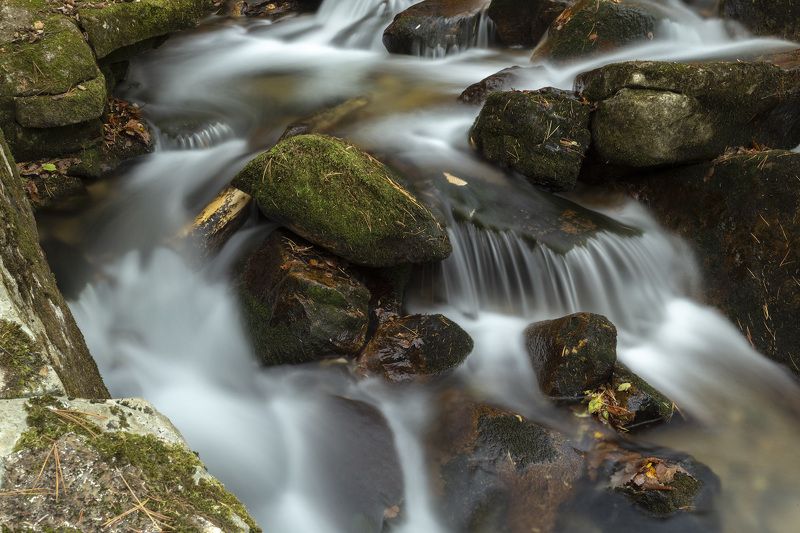 Ручей, осень, тайга photo preview