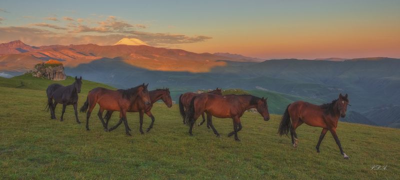 Мужик, ты нас не видел!photo preview