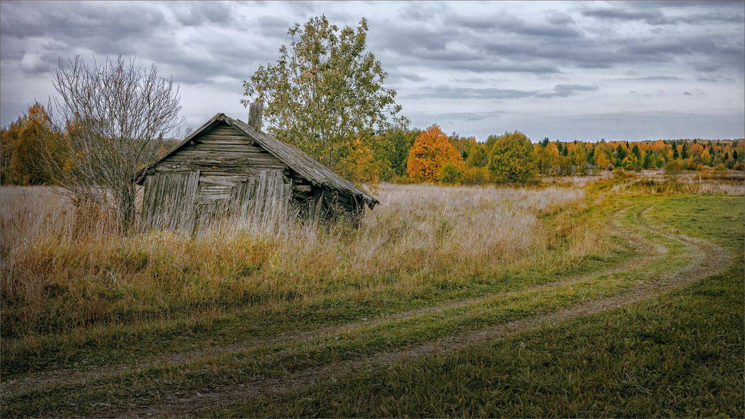 Картинка деревенская, грустно-осенняя.... Автор: Никитинский Александр пейзаж, осень, деревня, лес, поле, небо, свет, цвет, александр никитинский, Никитинский Александр