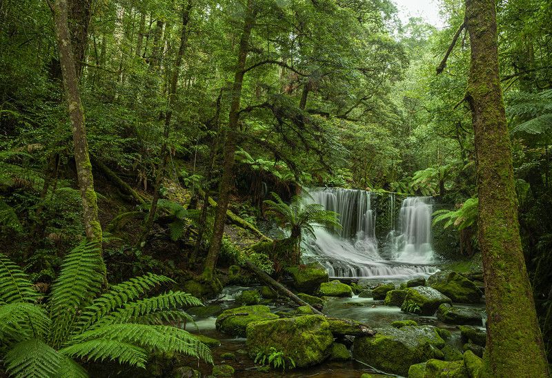 Тасмания пейзаж водопад Тасмания 2photo preview