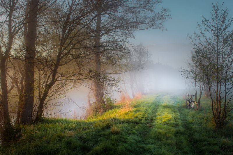 ********photo preview