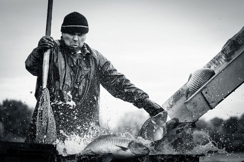 From catching fishphoto preview