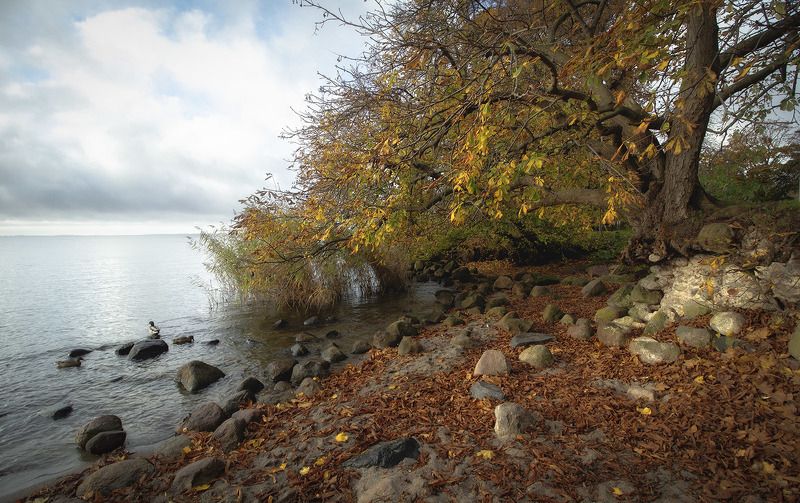 Берегphoto preview