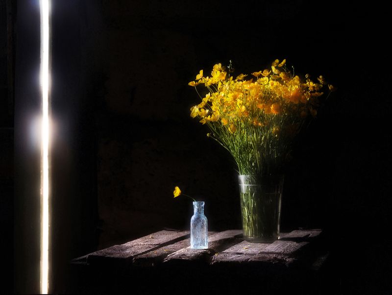 Жизни светphoto preview