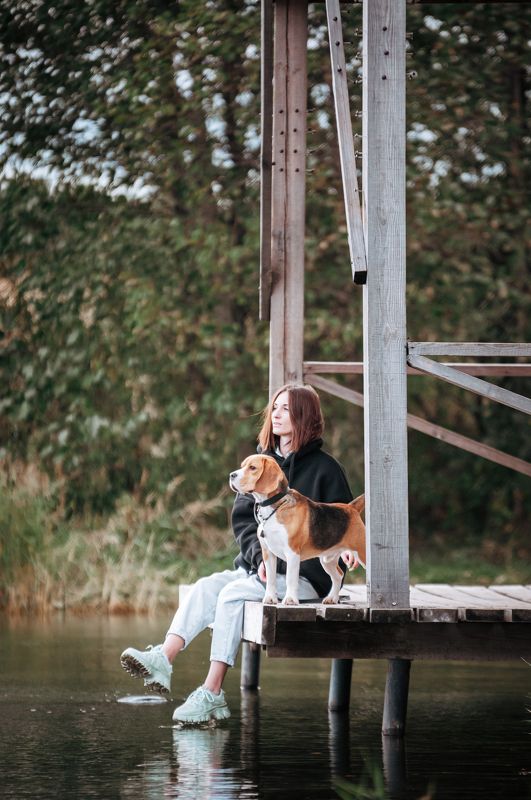 собака, Бигль Лилphoto preview