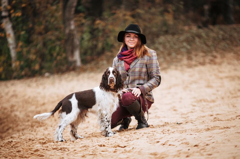 Английский спрингер спаниель Вестаphoto preview