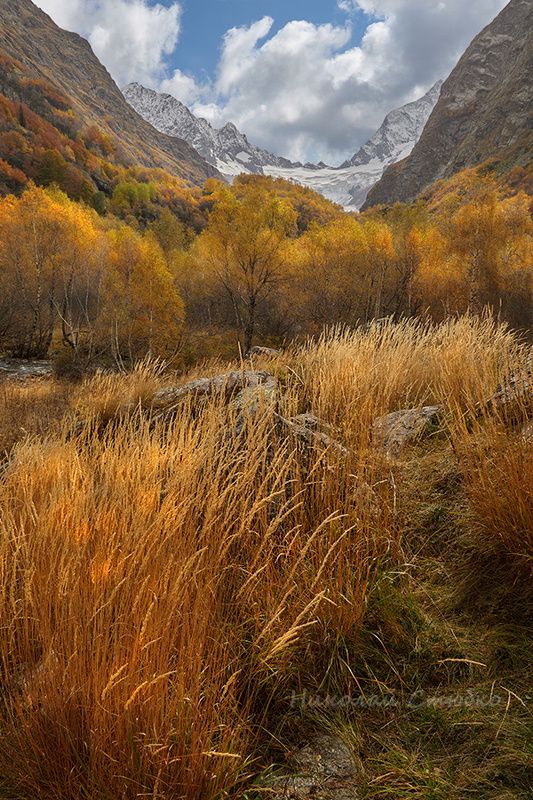 кавказ горы лес осень И снова про осень фото превью