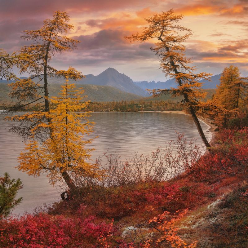 осень, колыма, озеро джека лондона Ветреный вечерphoto preview