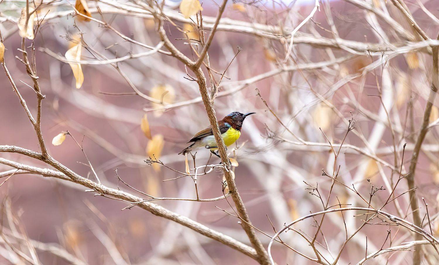 Автор: Sonnadara Kushan Madushanka , Sonnadara Kushan Madushanka