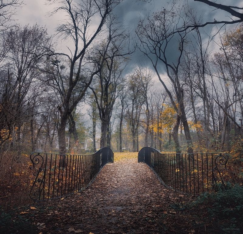 Осенний паркphoto preview