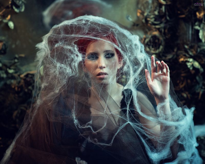 мотылек, кокон, портрет, женщина, девушка, сказка, фентези  фото превью