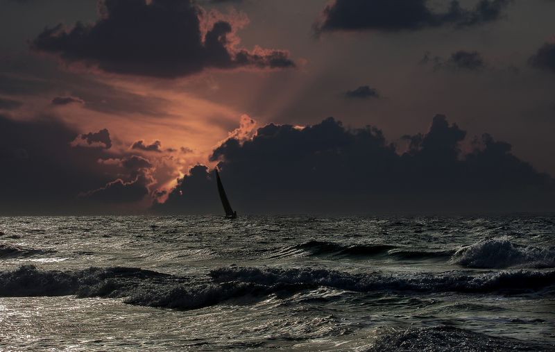 Тревога и надеждаphoto preview