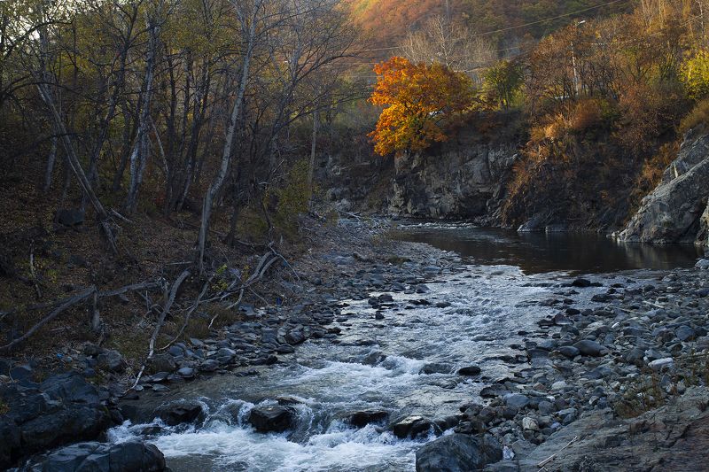 Последний лучphoto preview